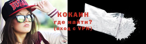 ПСИЛОЦИБИНОВЫЕ ГРИБЫ Богданович