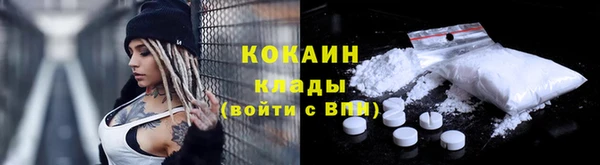 индика Заволжье