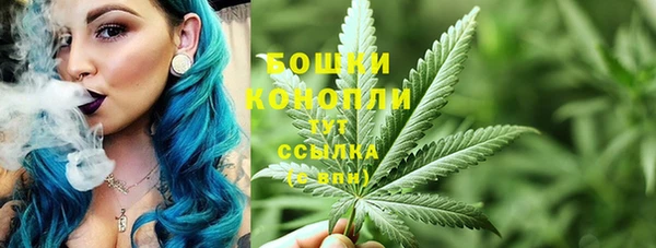 соль ск Богородицк