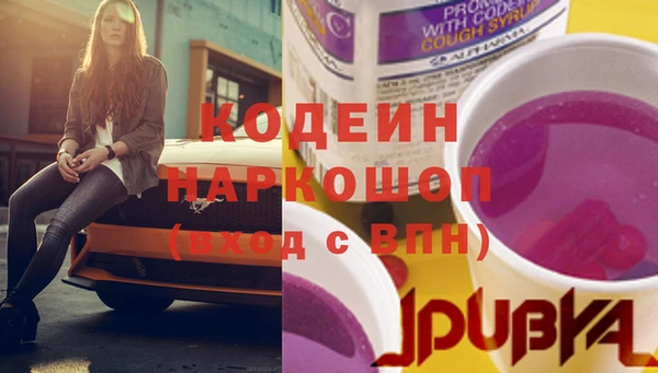 ПСИЛОЦИБИНОВЫЕ ГРИБЫ Богданович