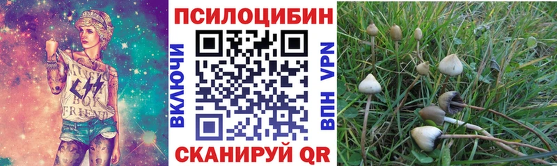 купить закладку Туймазы Галлюциногенные грибы GOLDEN TEACHER